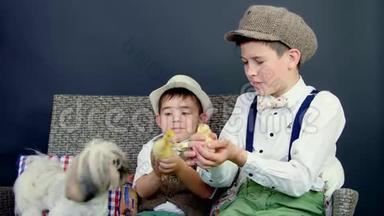 两个穿着时髦的乡下男孩和小鸭子、小鸡和一只小狗玩。 背景是干草堆，彩色的